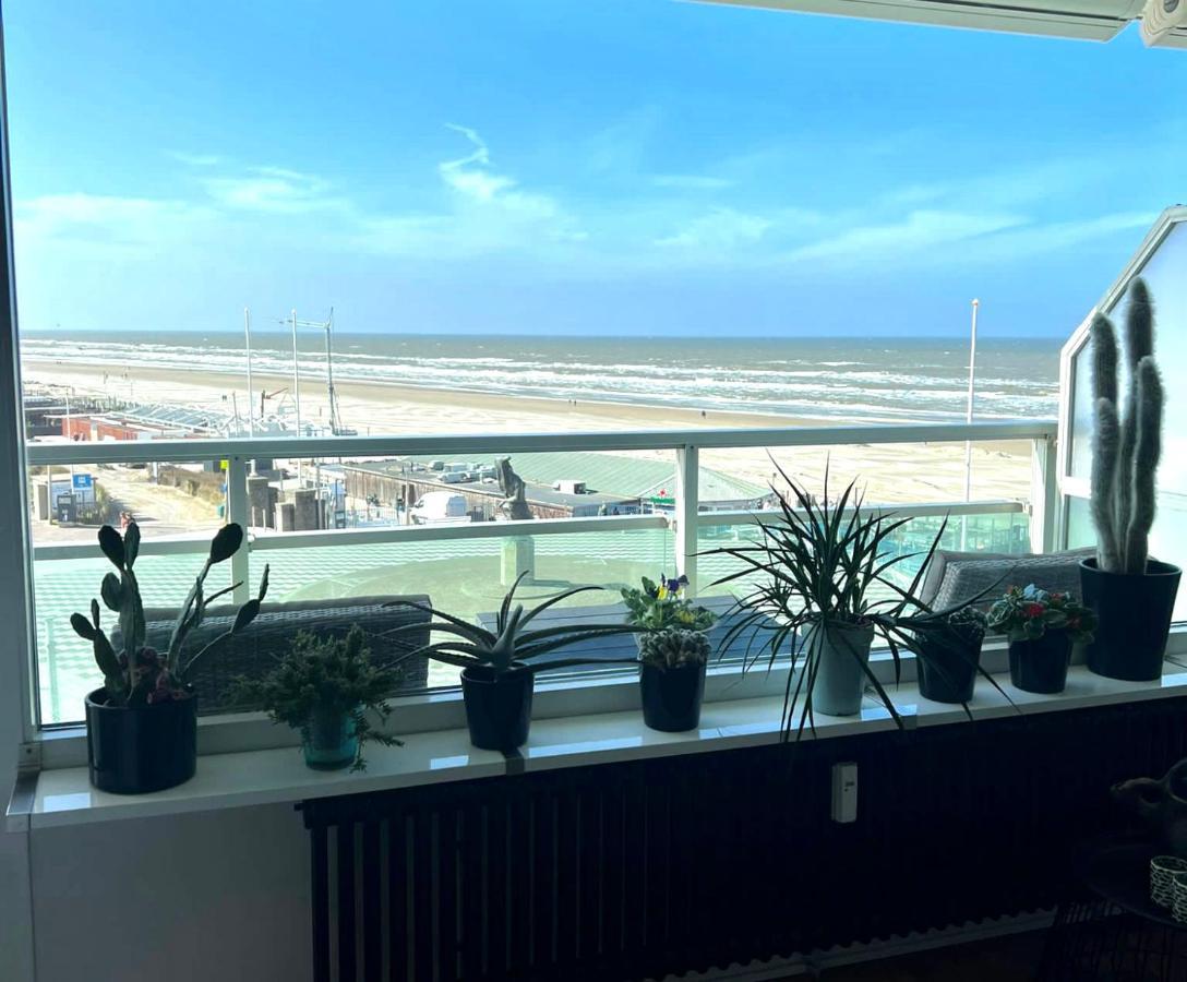 Apartment Fleurette Zandvoort Exterior photo